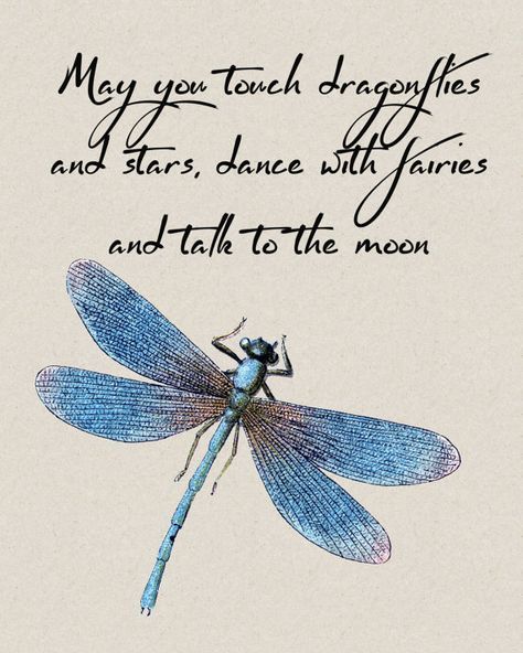 dragonfly